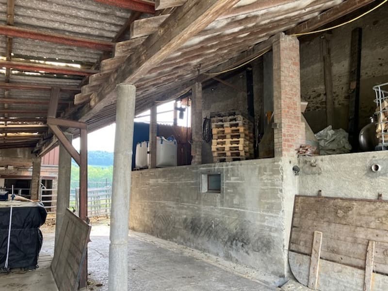 Deux bâtiments avec grand potentiel de rendement. Hors zone à bâtir. (4)