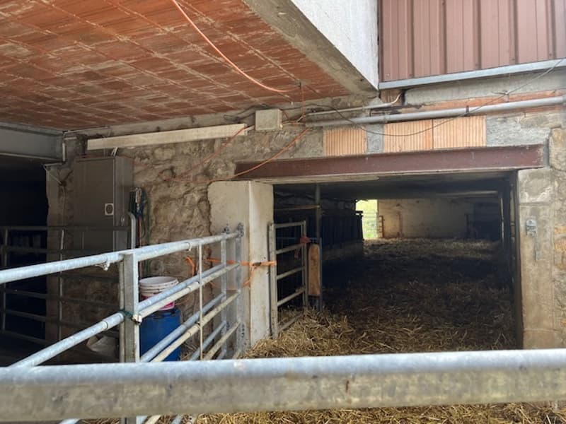 Deux bâtiments avec grand potentiel de rendement. Hors zone à bâtir. (5)