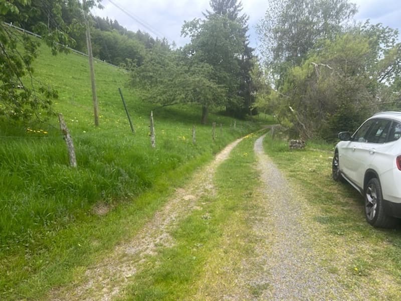Unique en son genre : demi-chalet à Chamby (9)