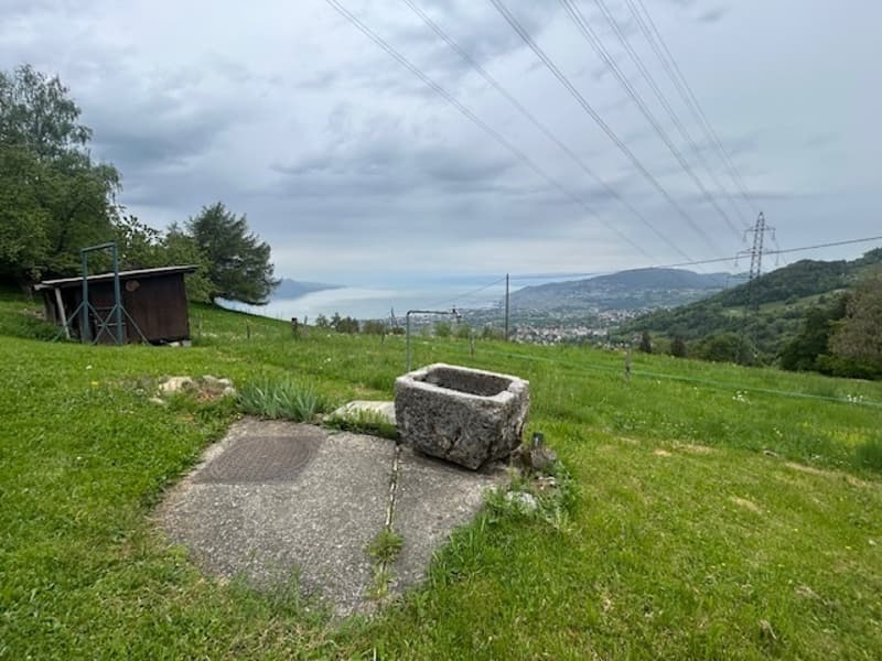 Unique en son genre : demi-chalet à Chamby (13)