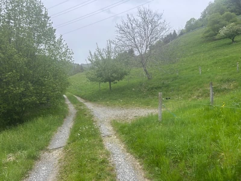 Unique en son genre : demi-chalet à Chamby (11)