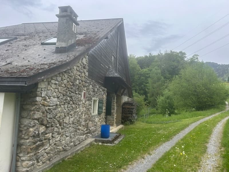 Unique en son genre : demi-chalet à Chamby (10)