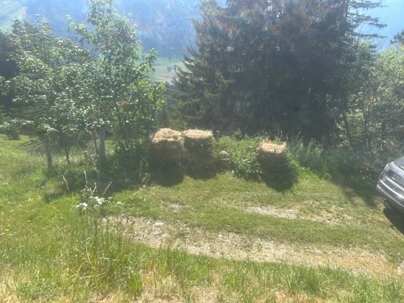 Chalet bergerie au calme à la montagne. Confort rustique. Unique ! (12)