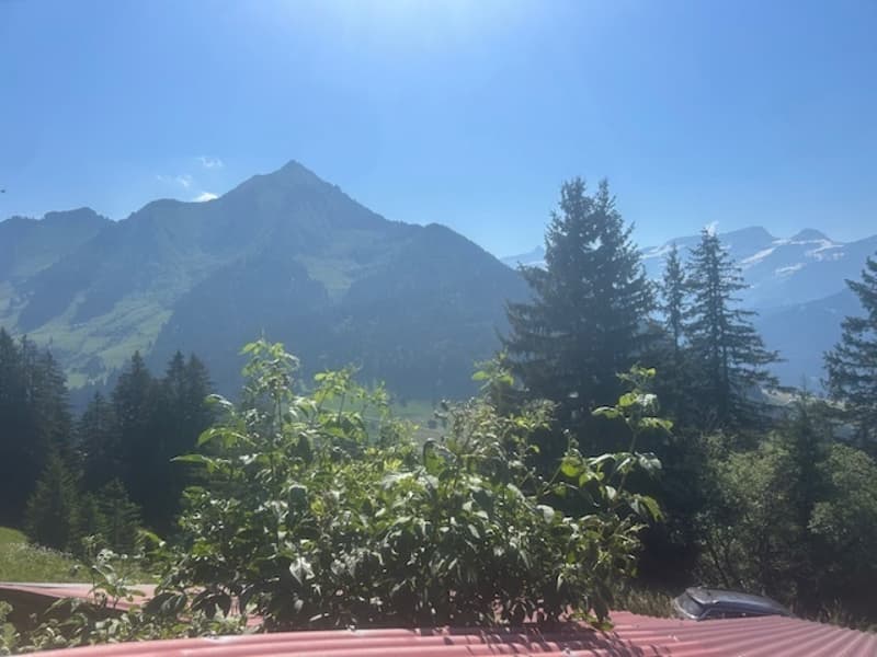 Chalet bergerie au calme à la montagne. Confort rustique. Unique ! (8)