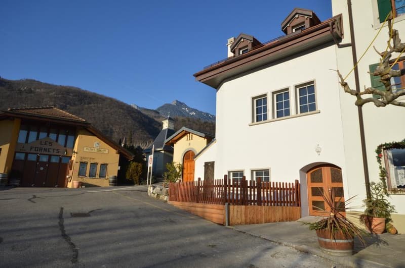 Yvorne : à deux minutes de Aigle : appartement sur 3 niveaux ! (10)