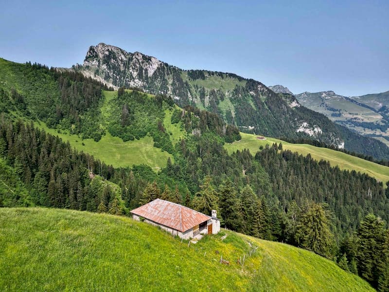 À vendre, Chalet, 1658 Rossinière, Réf Tsamufins (3)