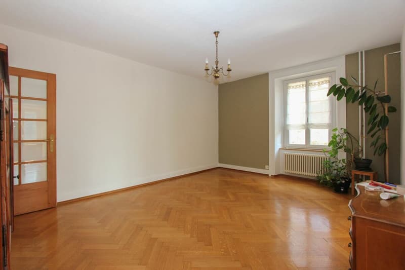 Grand appartement de rendement dans maison de maître avec jardin (4)