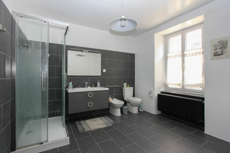 Grand appartement de rendement dans maison de maître avec jardin (10)