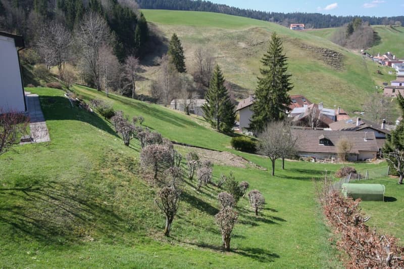 Dernière villa de 5.5 pièces sur les hauteurs du Locle (11)