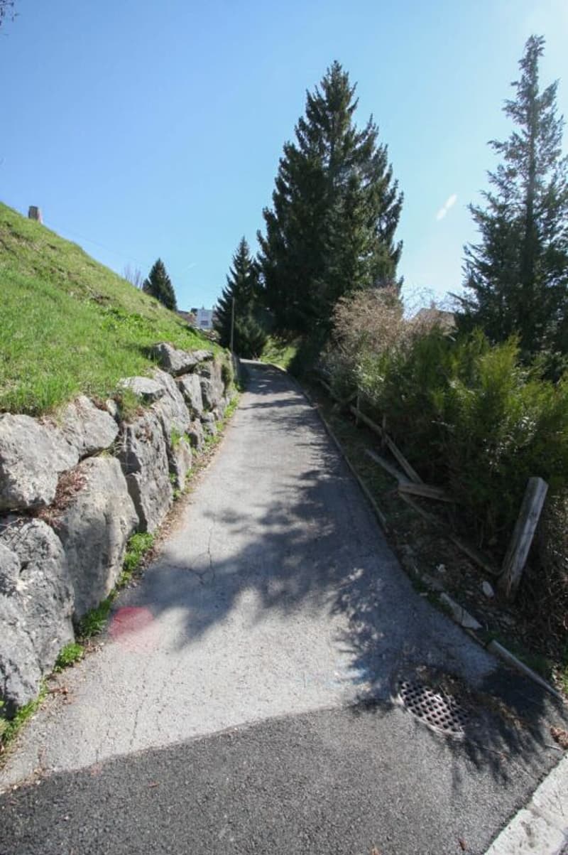 Dernière villa de 5.5 pièces sur les hauteurs du Locle (10)