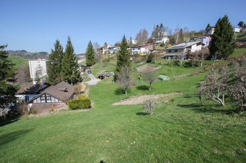 Dernière villa de 5.5 pièces sur les hauteurs du Locle (7)