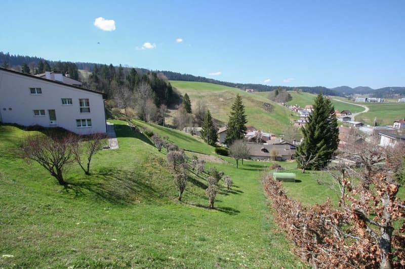 Dernière villa de 5.5 pièces sur les hauteurs du Locle (8)