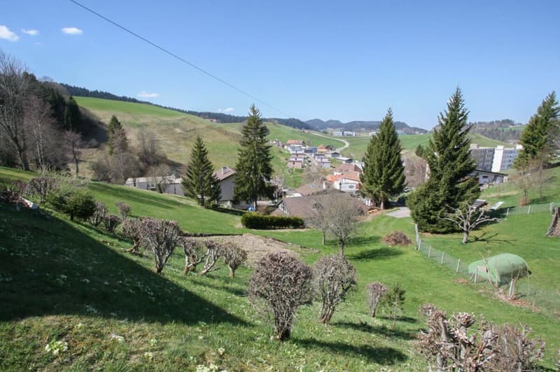 Dernière villa de 5.5 pièces sur les hauteurs du Locle (6)