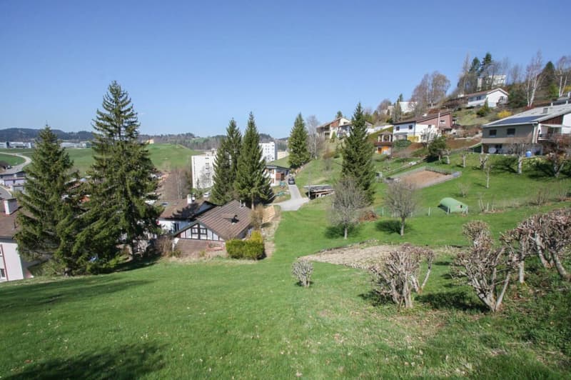 Dernière villa de 5.5 pièces sur les hauteurs du Locle (4)