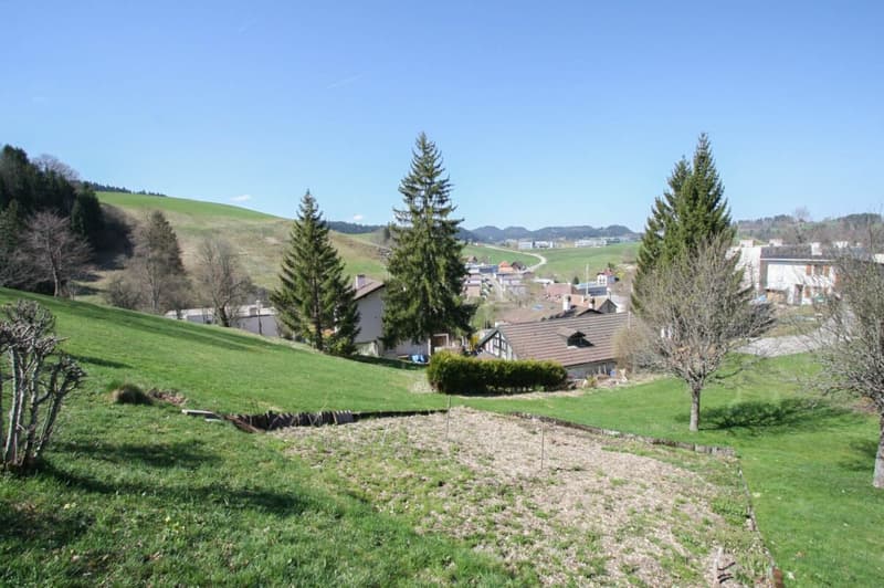 Dernière villa de 5.5 pièces sur les hauteurs du Locle (9)