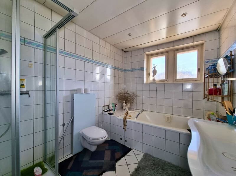 Belle bâtisse comprenant un restaurant réputé et un appartement de 9 pièces en pleine nature (12)
