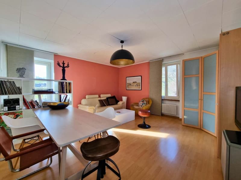 Belle bâtisse comprenant un restaurant réputé et un appartement de 9 pièces en pleine nature (15)