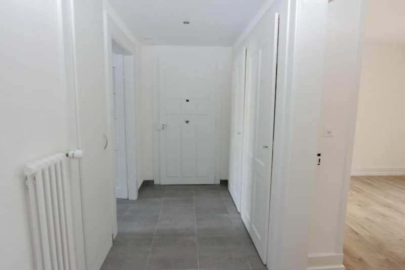 Magnifique appartement de 3 pièces au rez-de-chaussée (7)