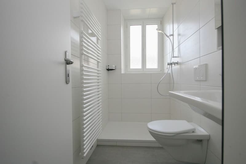 Magnifique appartement de 3 pièces au rez-de-chaussée (5)