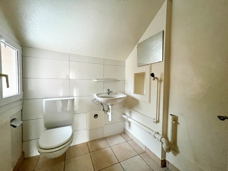 Bel appartement de 5 pièces avec jardin commun (10)