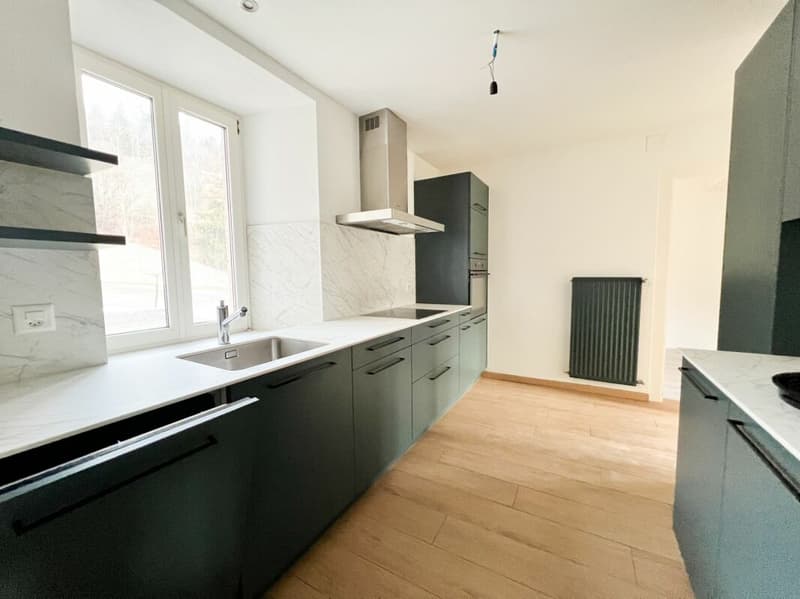 Bel appartement de 5 pièces avec jardin commun (4)