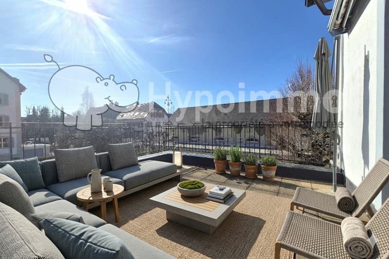 Splendide appartement de 2 pièces rénové avec grande terrasse et véranda (1)