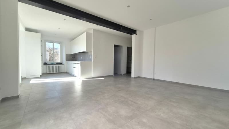 Splendide appartement de 2 pièces rénové avec grande terrasse et véranda (6)