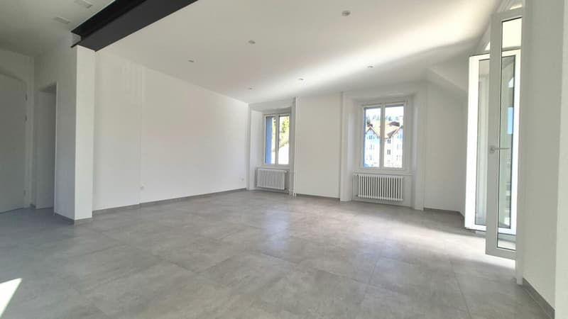 Splendide appartement de 2 pièces rénové avec grande terrasse et véranda (9)
