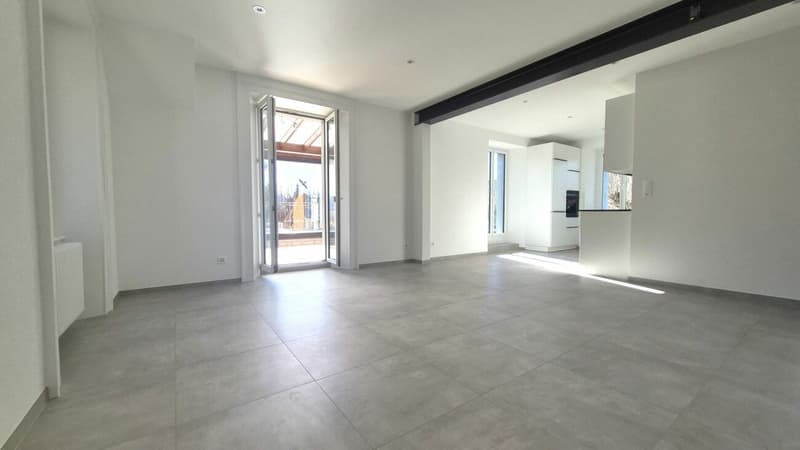 Splendide appartement de 2 pièces rénové avec grande terrasse et véranda (8)