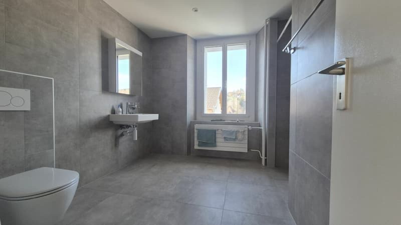 Splendide appartement de 2 pièces rénové avec grande terrasse et véranda (10)