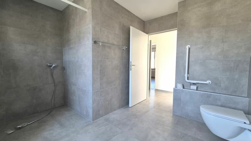 Splendide appartement de 2 pièces rénové avec grande terrasse et véranda (12)