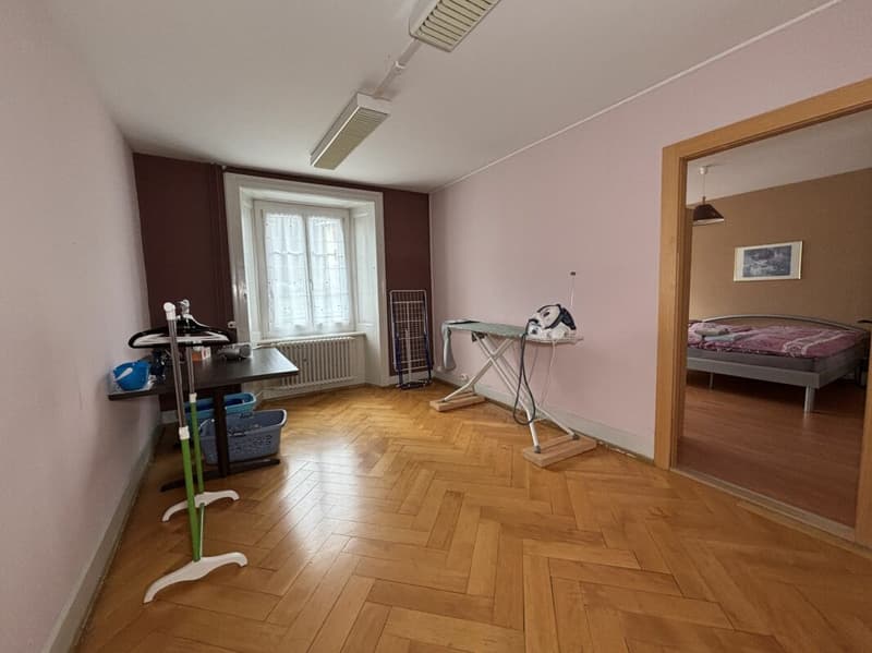 Bel immeuble familial avec terrasse et jardin (15)