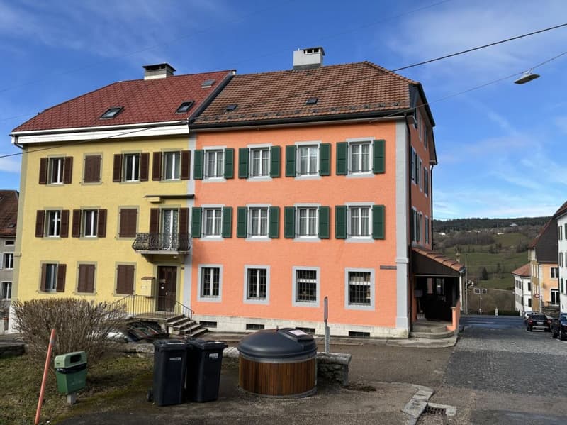 Bel immeuble familial avec terrasse et jardin (25)