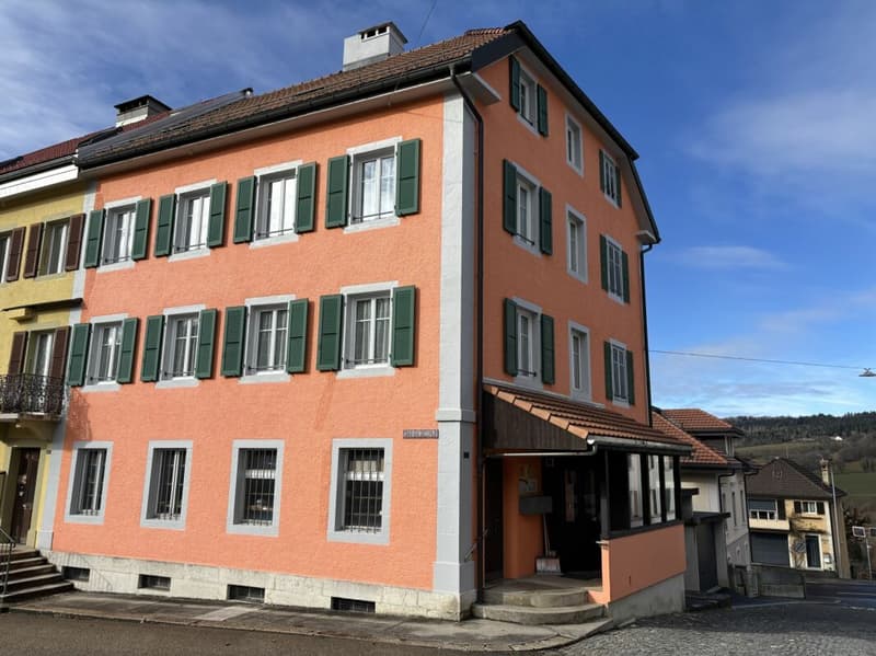 Bel immeuble familial avec terrasse et jardin (2)