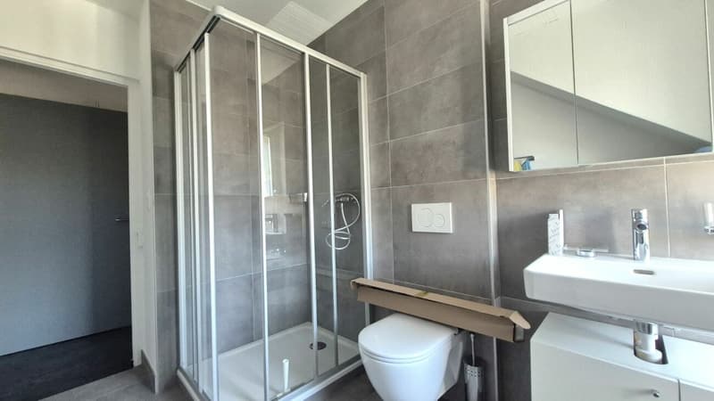 Appartement meublé de 2 pièces plein de charme au Locle (5)