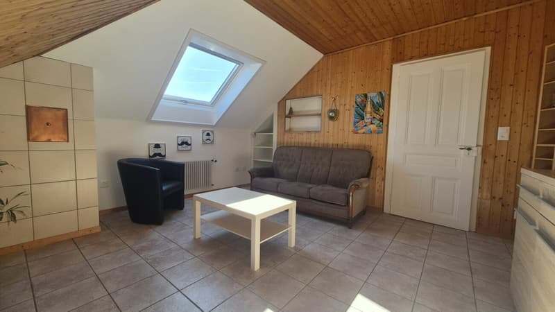Appartement meublé de 2 pièces plein de charme au Locle (2)