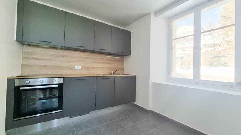 Lumineux appartement de 3.5 pièces, cuisine et salle de bains neuves - 1er loyer offert (3)