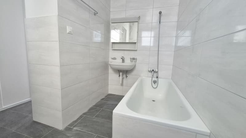 Lumineux appartement de 3.5 pièces, cuisine et salle de bains neuves - 1er loyer offert (8)