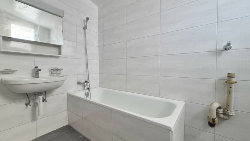 Lumineux appartement de 3.5 pièces, cuisine et salle de bains neuves - 1er loyer offert (9)