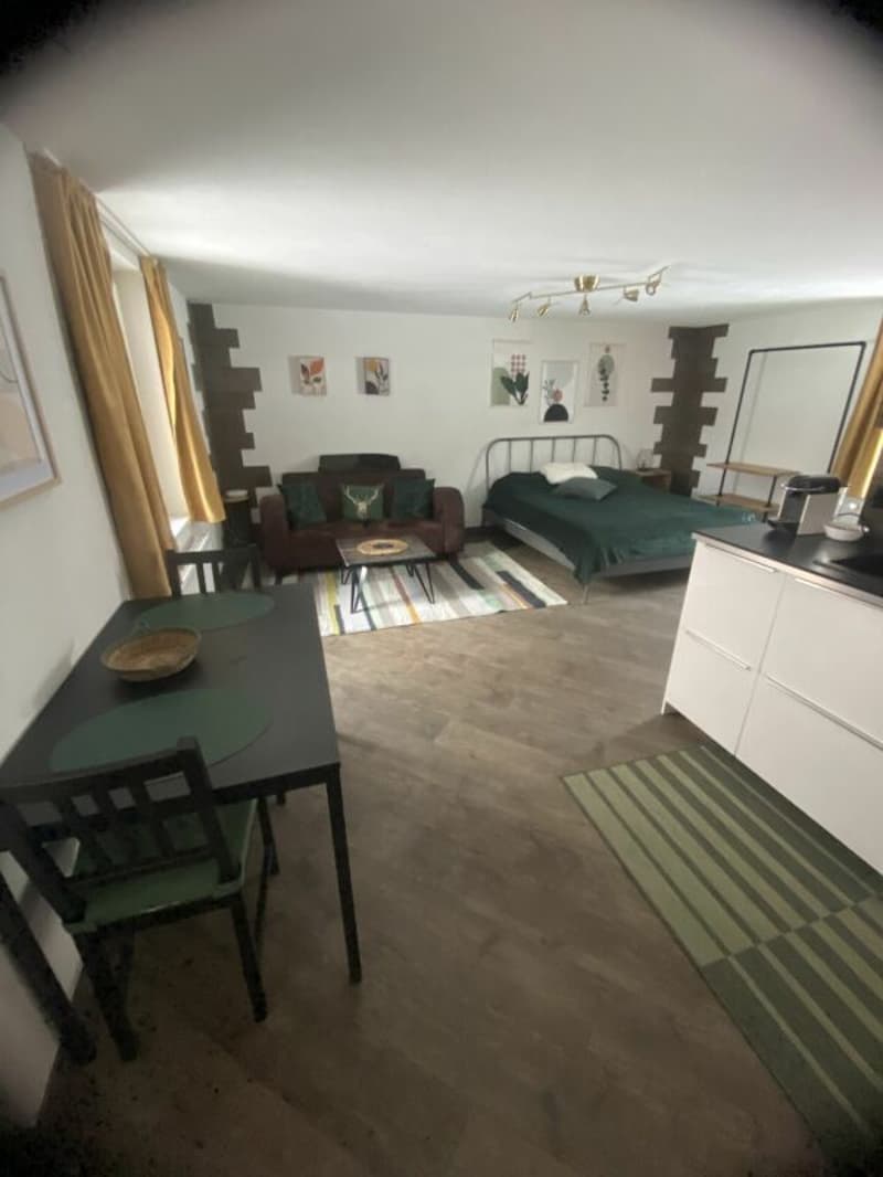 Superbe maison de 4 appartements (17)