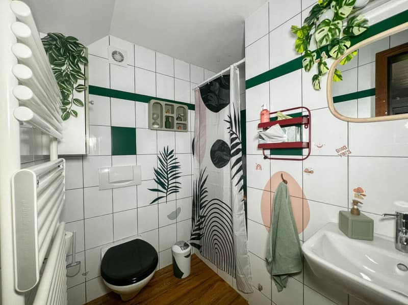 Superbe maison de 4 appartements (8)