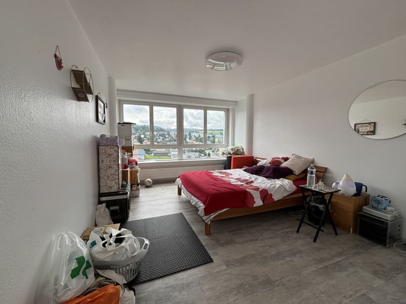 Lumineux et spacieux appartement de 8 pièces (13)