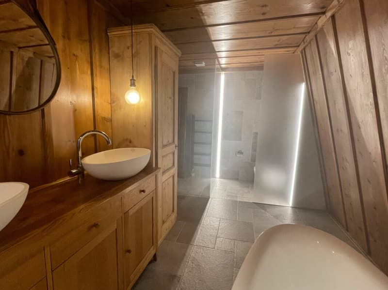 Chaleureux duplex de 3.5 pièces (7)