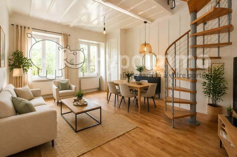 Chaleureux duplex de 3.5 pièces (1)
