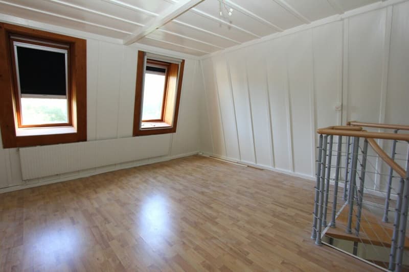 Chaleureux duplex de 3.5 pièces (11)