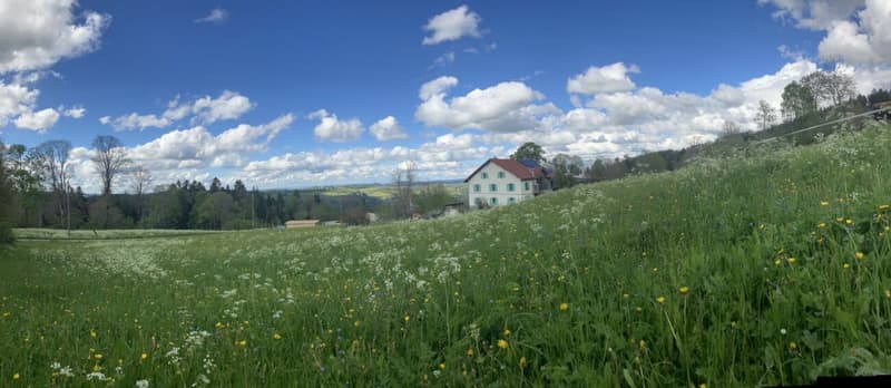 Appartement de 2,5 pièces à la campagne (9)