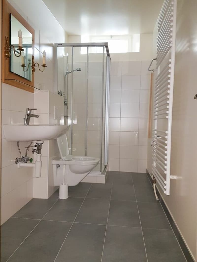 Appartement de 2,5 pièces à la campagne (7)