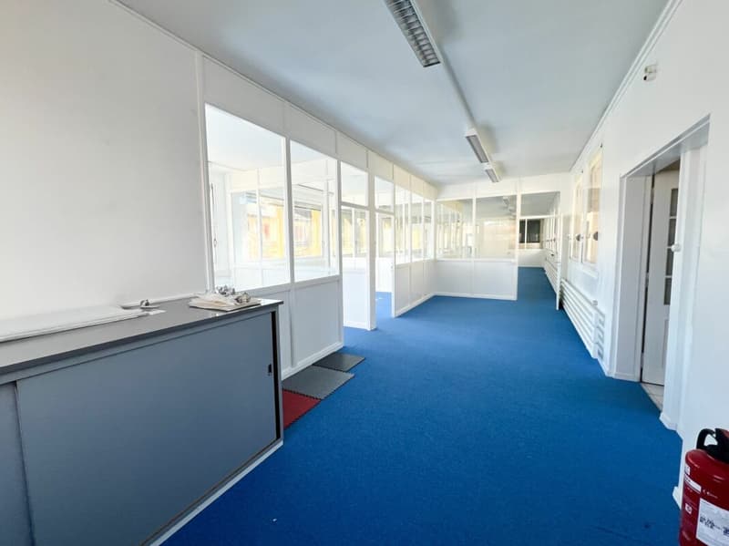 Locaux à louer de 235m2 modulables - idéal pour atelier-bureau (3)