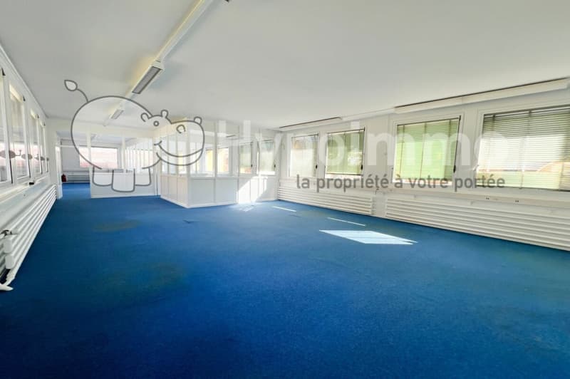 Locaux à louer de 235m2 modulables - idéal pour atelier-bureau (1)