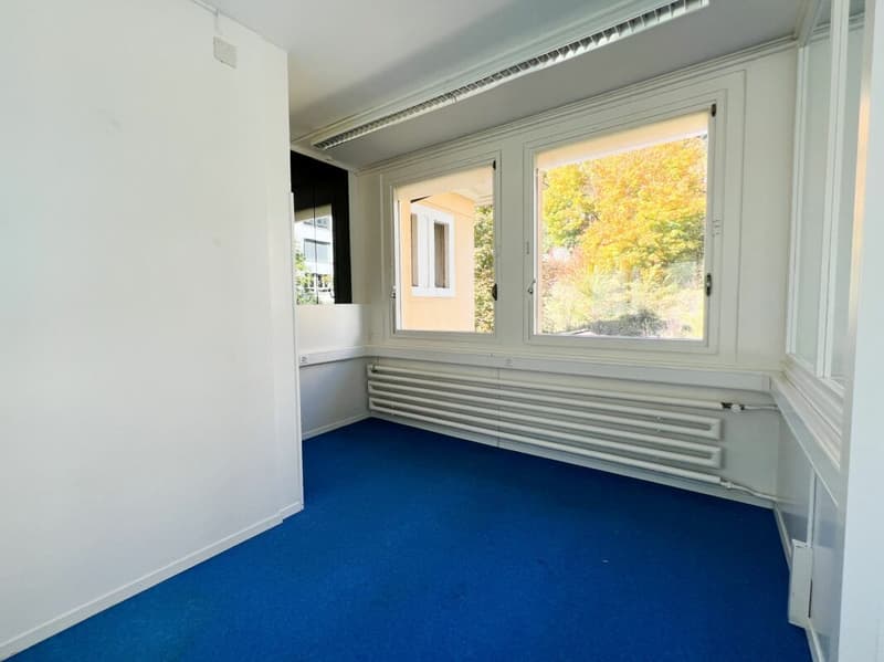 Locaux à louer de 235m2 modulables - idéal pour atelier-bureau (2)